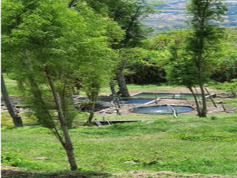 Reserva Tororoi image
