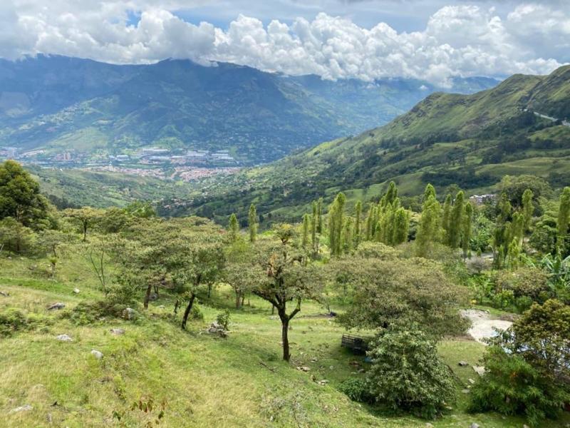 Reserva Tororoi image