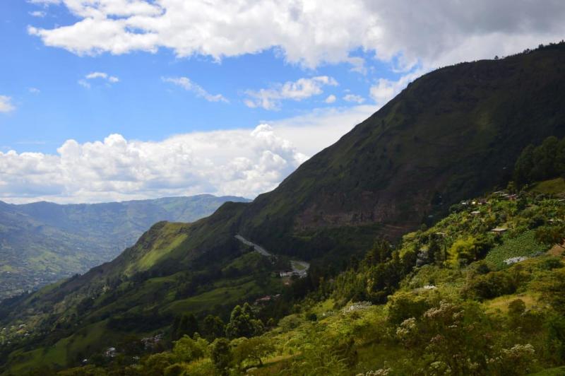 Reserva Tororoi image
