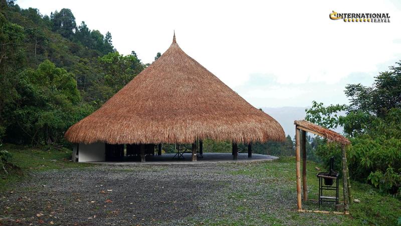 Reserva Tororoi image