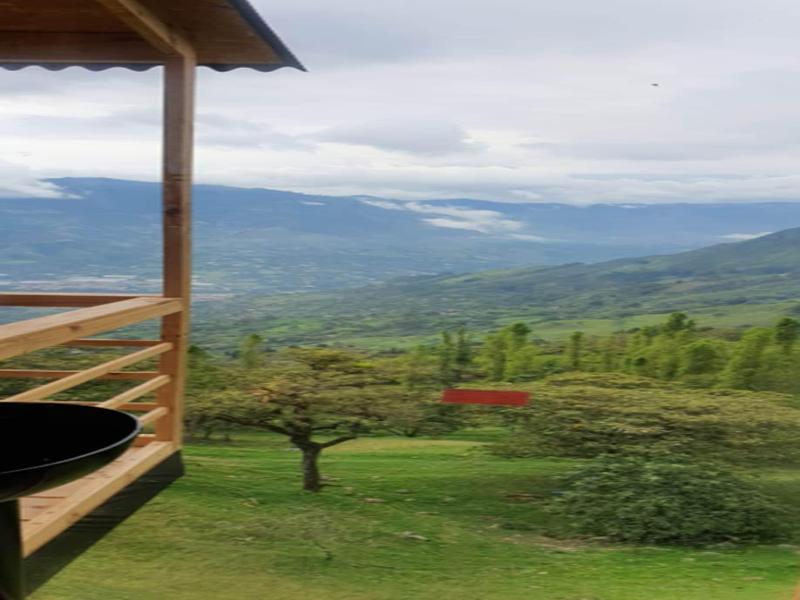Reserva Tororoi image