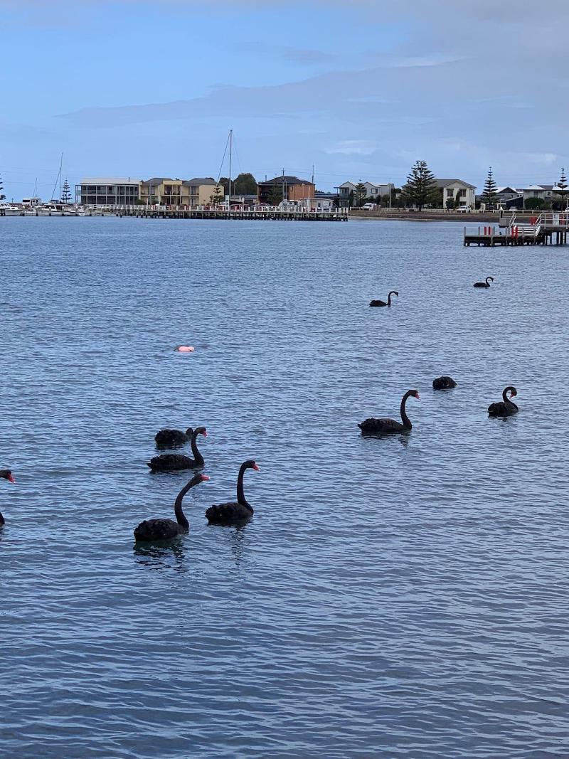 Boat Harbour Jetty B&b image