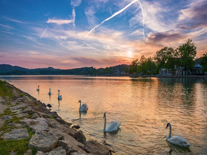 Hotel Stadler Am Attersee image