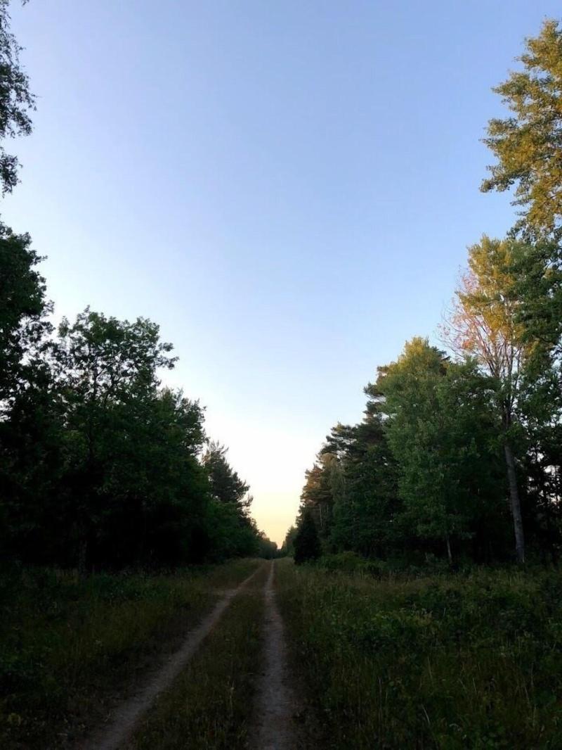 Pensionat Grankullavik image