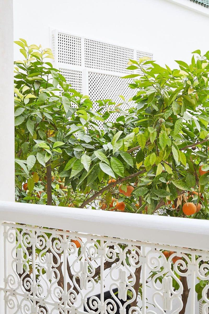Numa Marrakech image