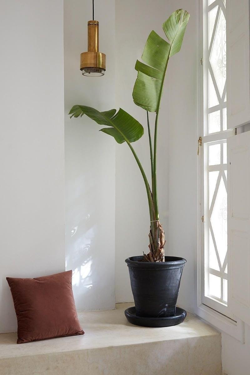 Numa Marrakech image