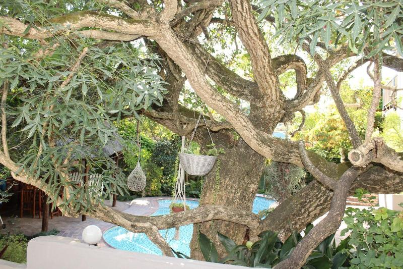Panorama Guest House image 7