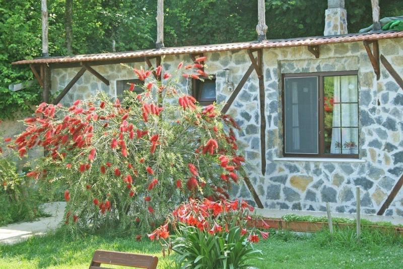 Agva Ormanevi Otel