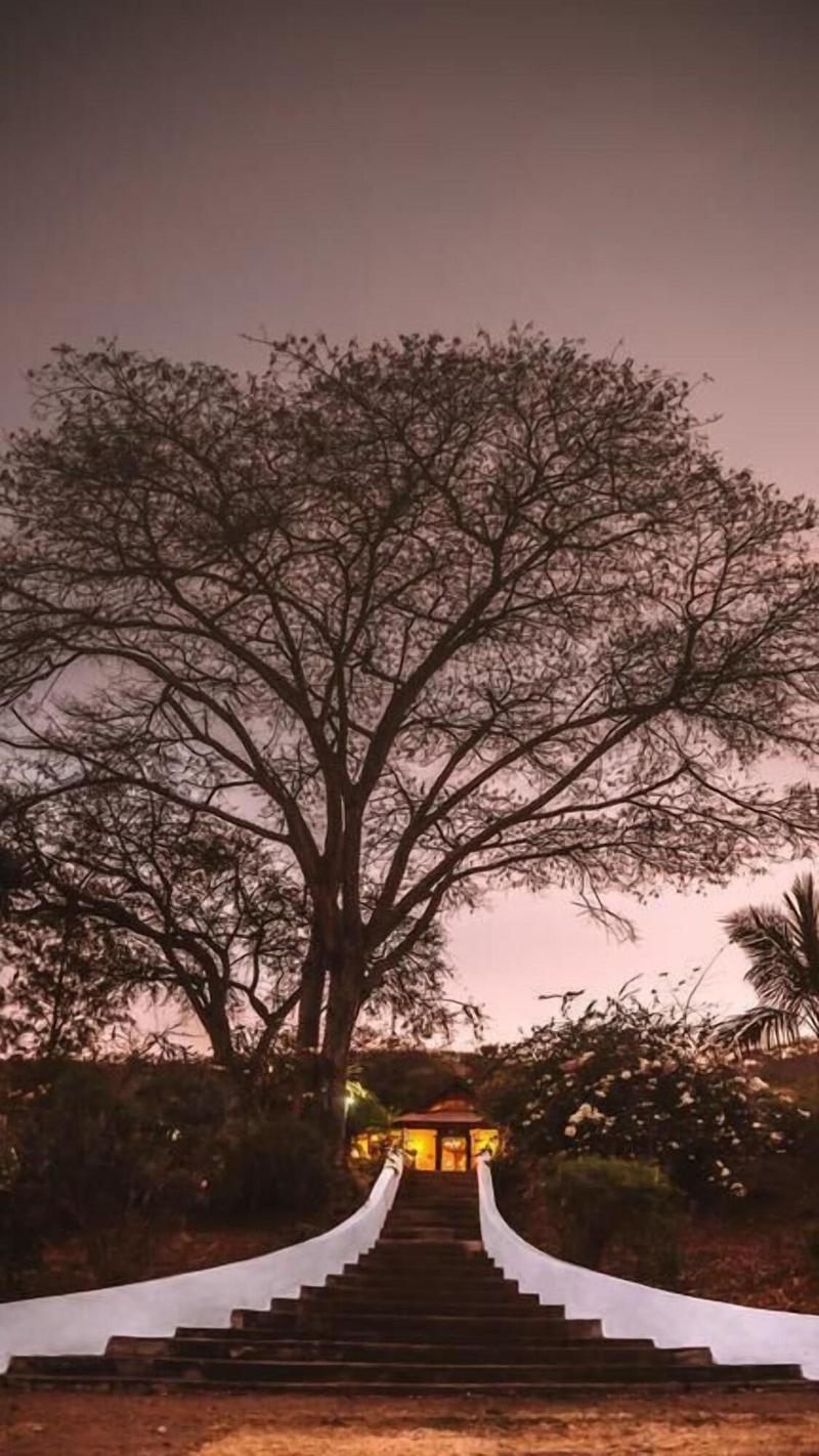 Utengule Coffee Lodge image