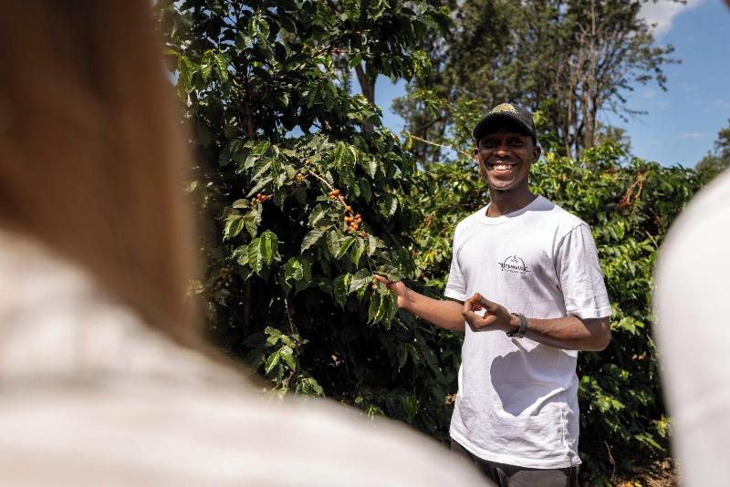 Utengule Coffee Lodge image