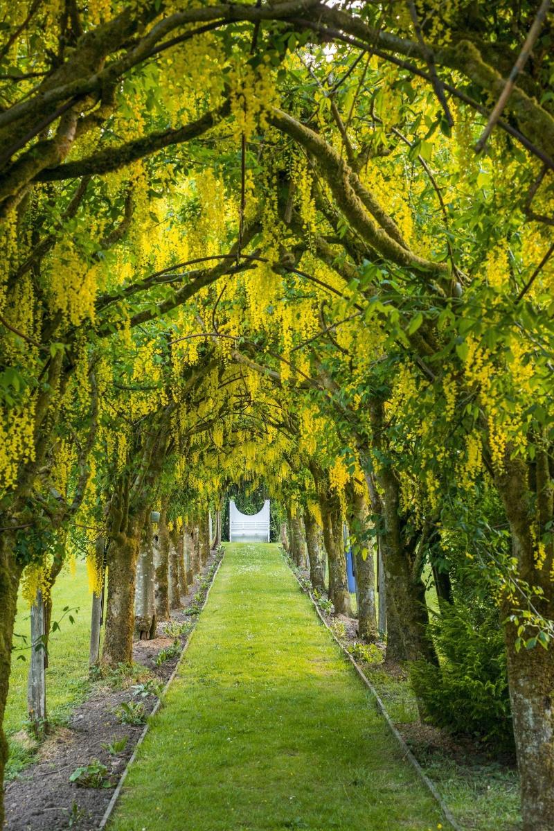 Blairquhan Cottages image