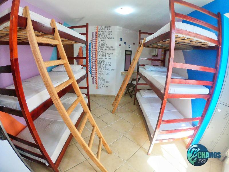 Chamos Hostel Cultural image