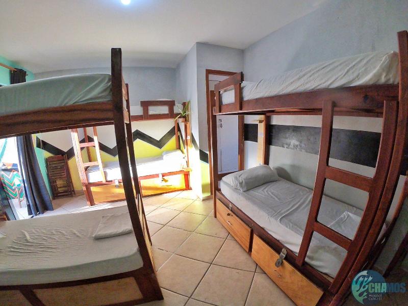 Chamos Hostel Cultural image