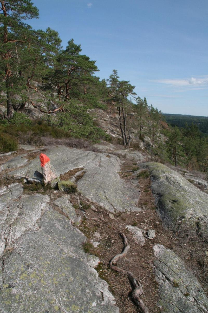 Hikinglodge Idala image