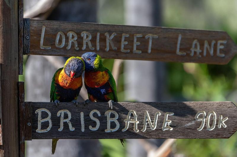 Esk Caravan Park & Motel