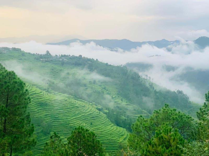 Itmenaan Estate image