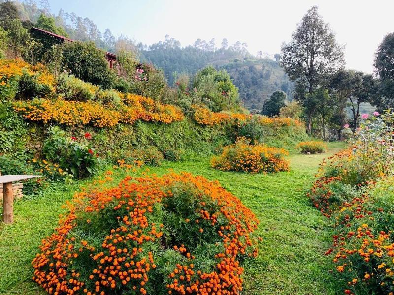 Itmenaan Estate image