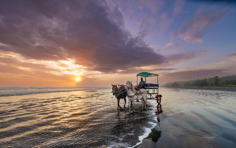 Lotus Eco Beach Resort Murud image