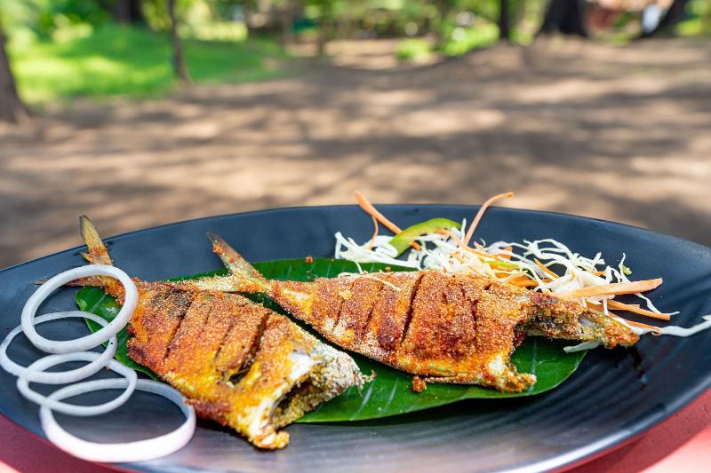 Lotus Eco Beach Resort Murud image
