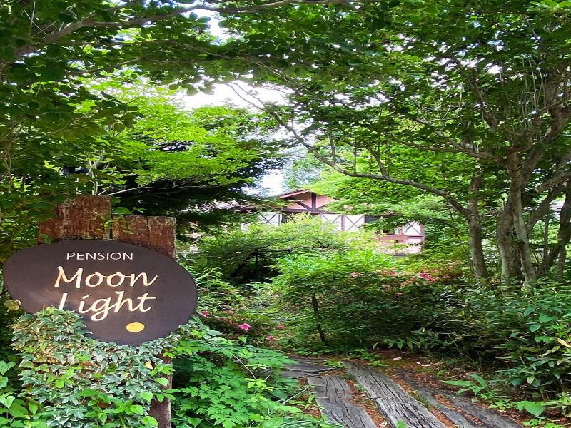 Pension Moon Light image