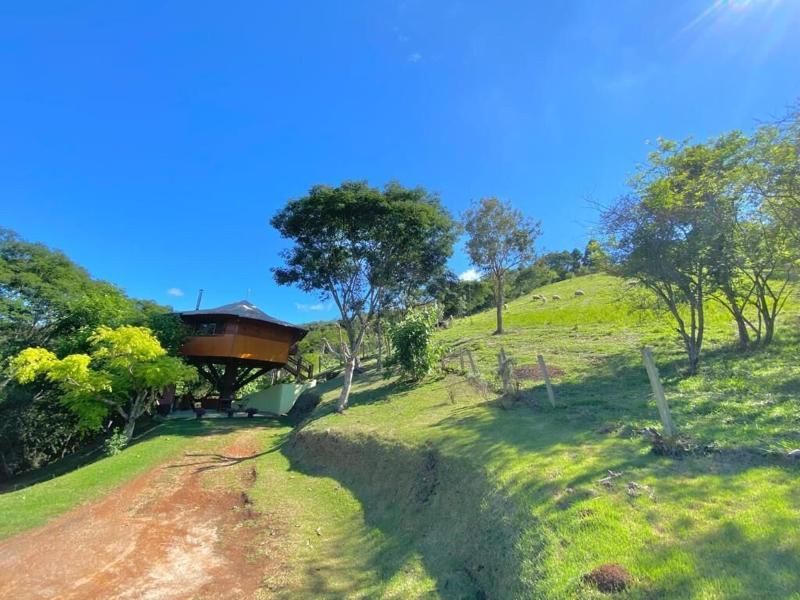 Jardim Suspenso Da Babilonia