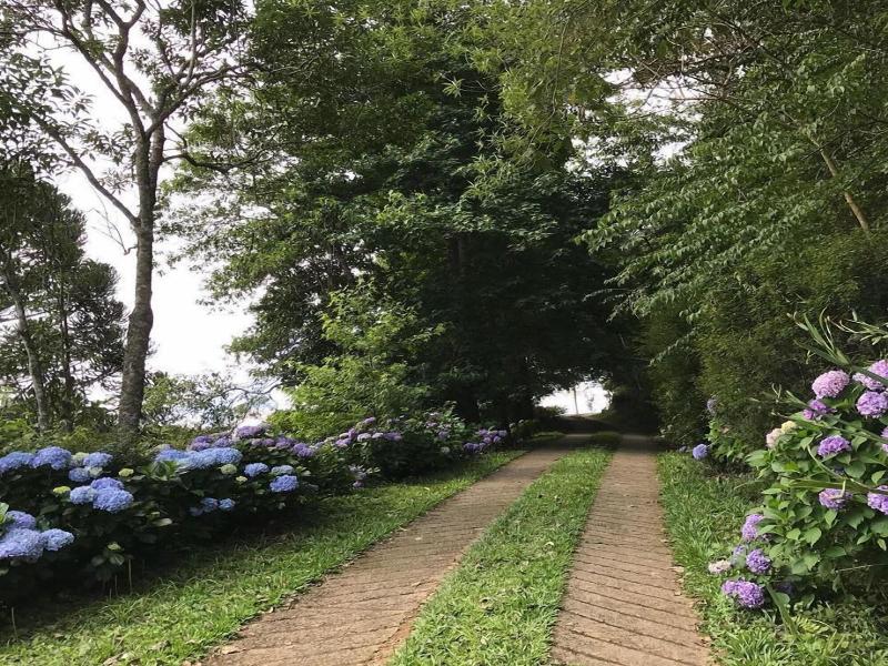 Jardim Suspenso Da Babilonia