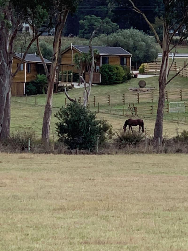 Hazelcreek Cottages