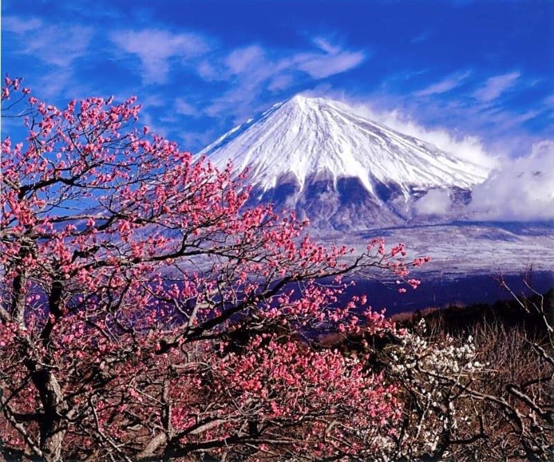 Kyukamura Fuji image