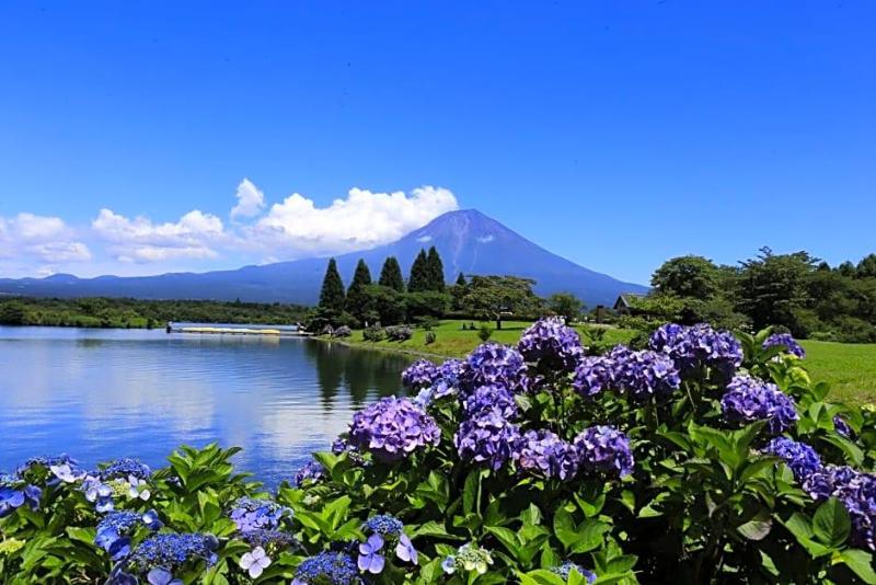 Kyukamura Fuji image