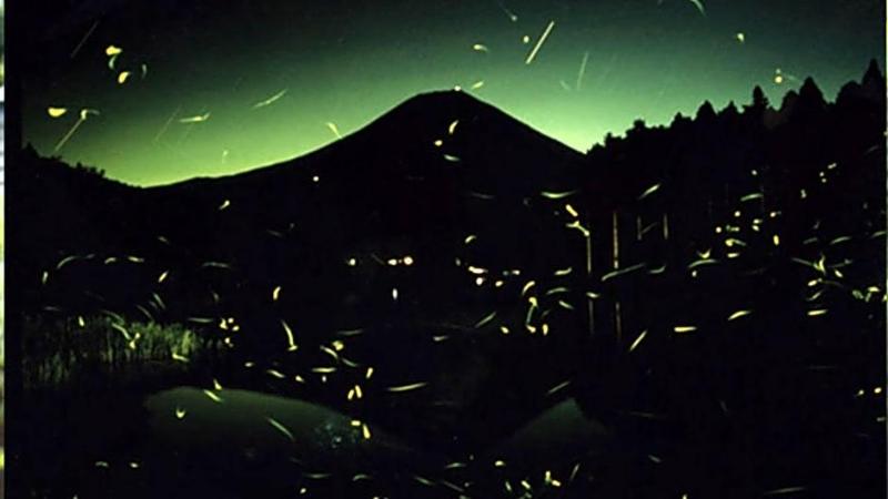 Kyukamura Fuji image