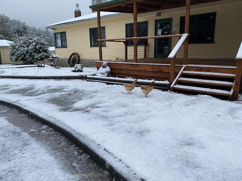 Giants Table and Cottages image