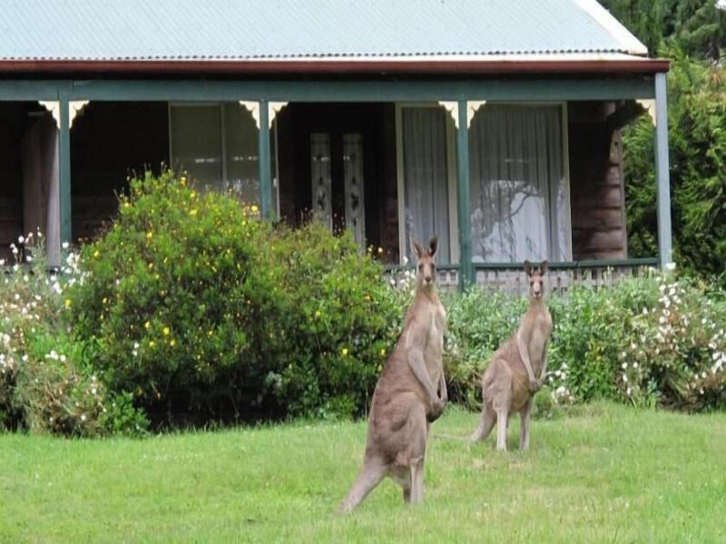 Cedar Lodge Cabins image