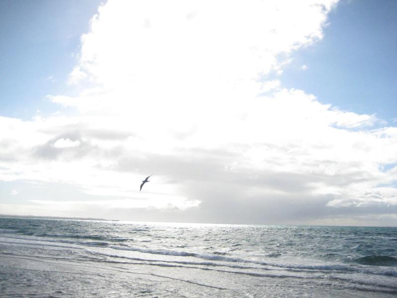 Beachwalk Cottage image