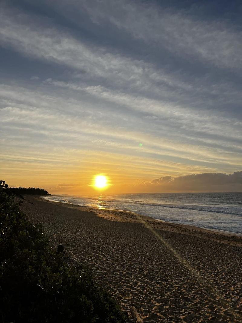 Shelly Beach Holiday Park image