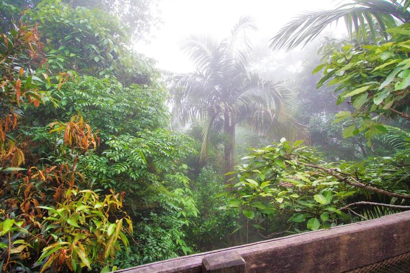 Mt Glorious Getaways image