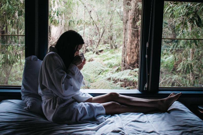 Woodlands Rainforest Retreat image