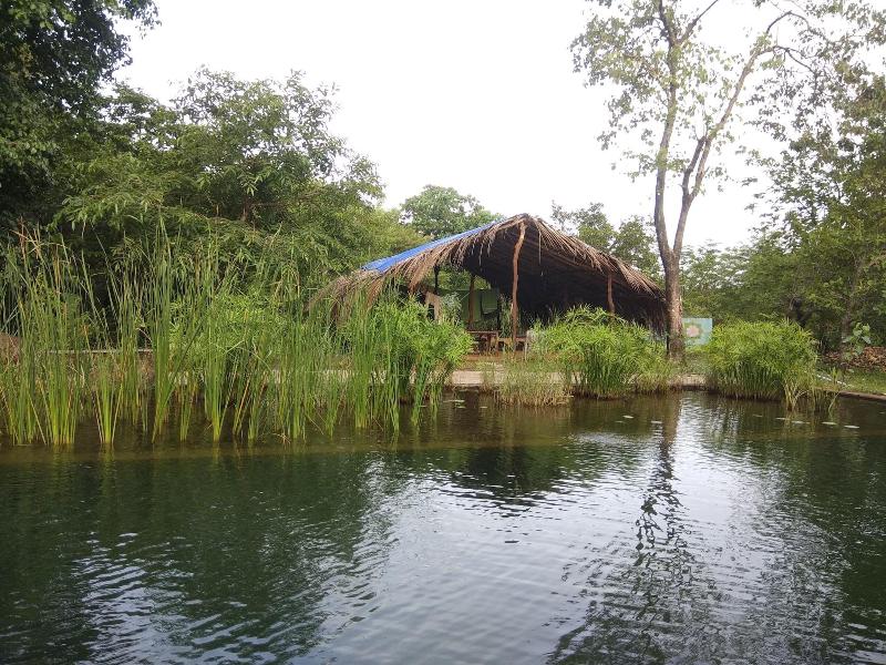 Dudhsagar Plantation image