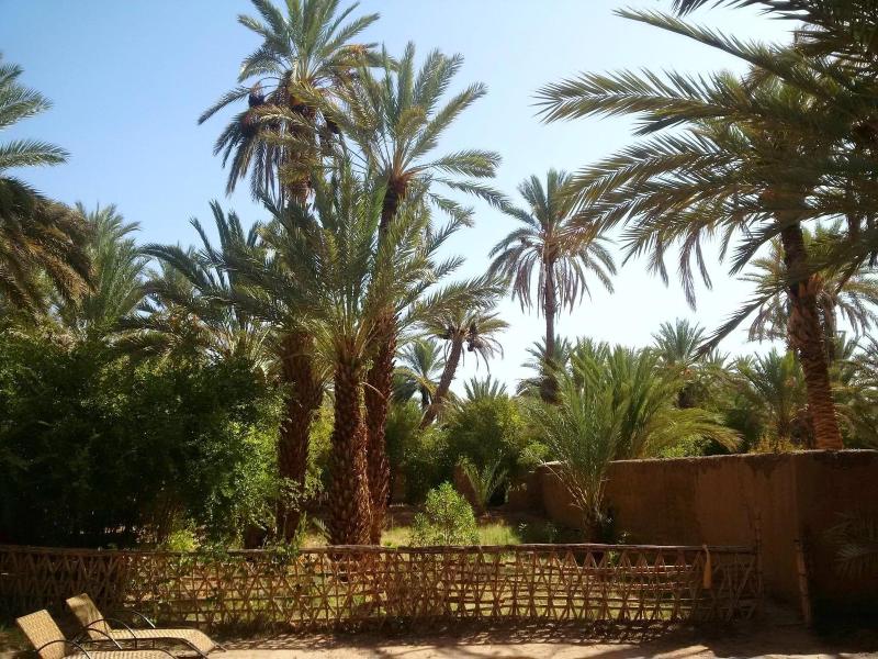 Dar Jnane La Maison Du Jardin