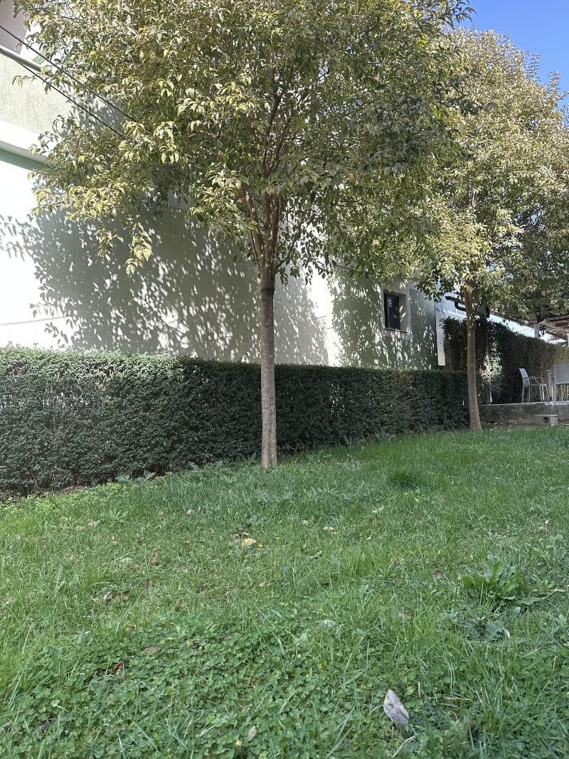 Hotel Green House image