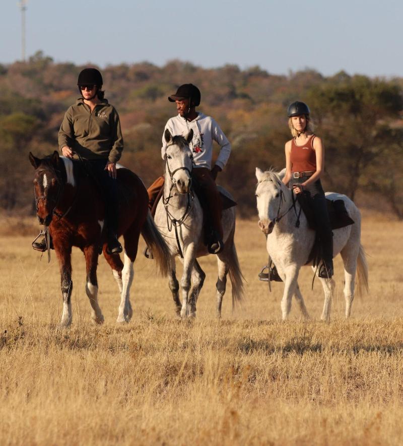 Waterberg Cottages
