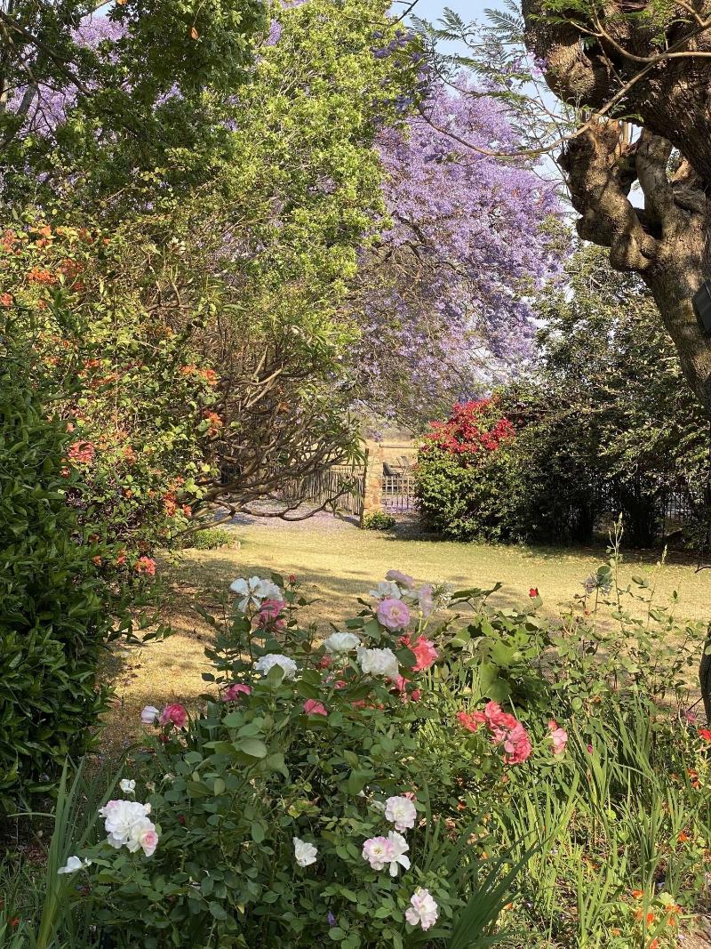 Waterberg Cottages