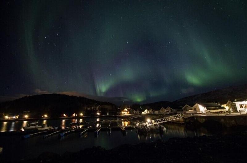Arctic Seasport image