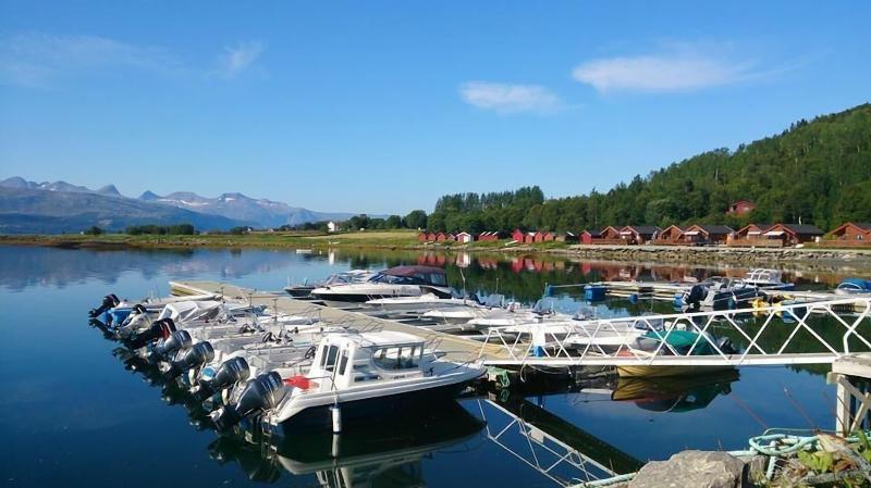 Arctic Seasport image