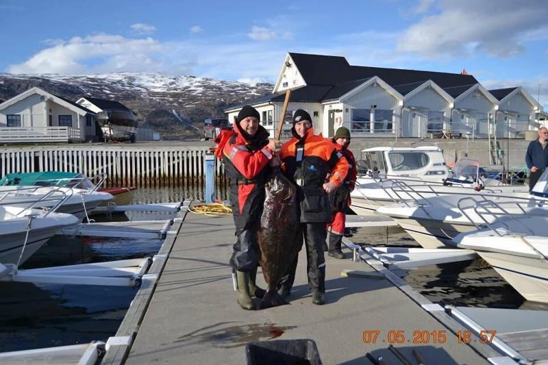 Arctic Seasport image