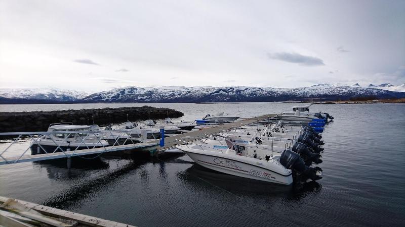 Arctic Seasport image