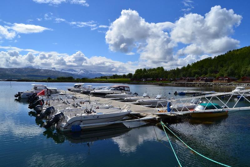 Arctic Seasport image