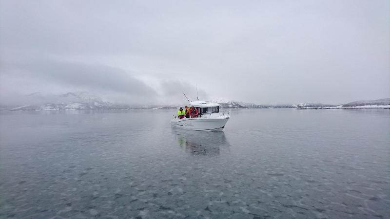 Arctic Seasport image