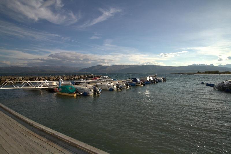 Arctic Seasport image