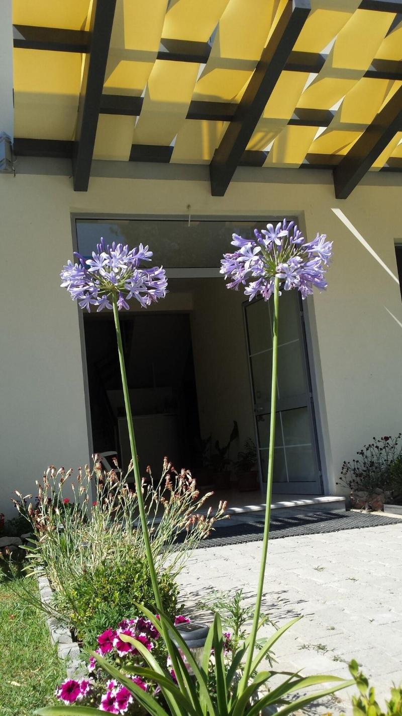 Hotel Vila Tufi image