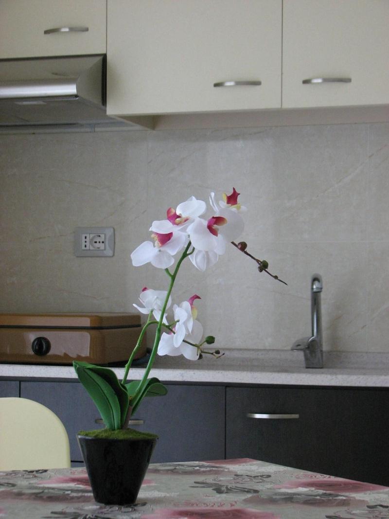 Hotel Vila Tufi image